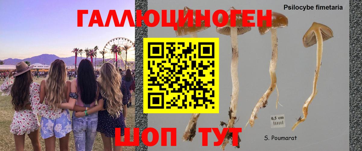 Арзамас  Псилоцибиновые грибы ЛСД  Псилоцибиновые грибы MAGIC MUSHROOMS  Вход с VPN 