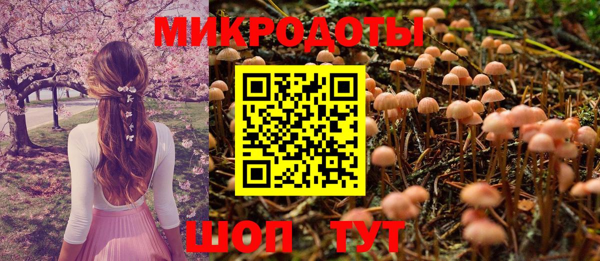 Псилоцибиновые грибы Psilocybe Арзамас